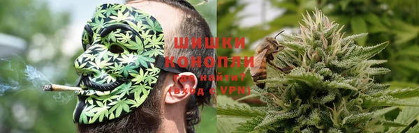 сатива Навашино