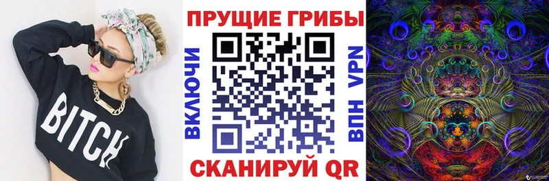 сколько стоит  Игра  Псилоцибиновые грибы мухоморы 